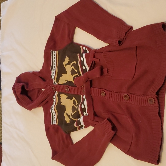 2 Tunic Length Hooded Sweaters - Picture 6 of 9